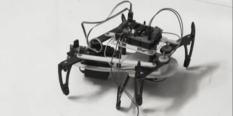 Spider Bot